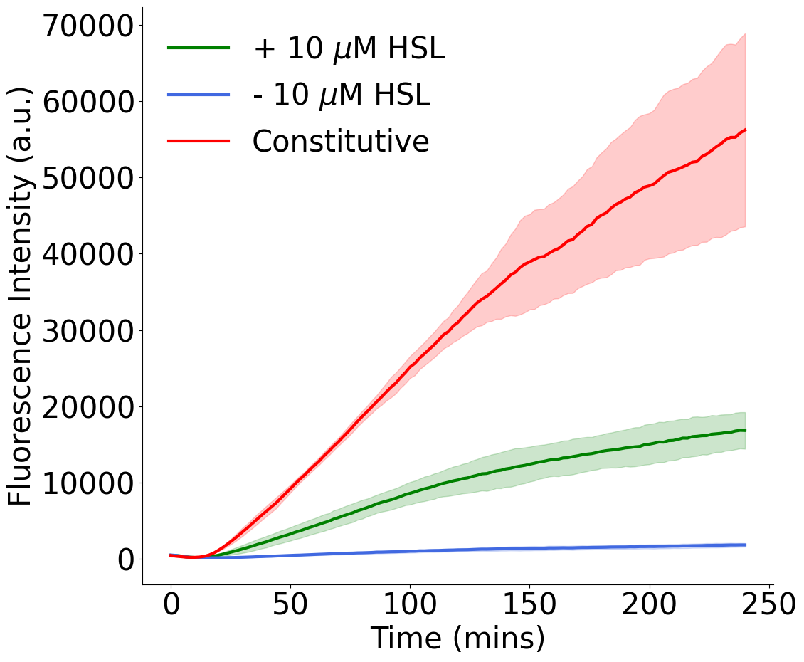 Fluorescence intensity over time for the LuxR-mNeonGreen plasmid in bulk
lysate reactions with and without 10 µM HSL, and for the constitutive
mNeonGreen plasmid. + 10 µM and − 10 µM HSL refer to the HSL sensing and
negative control conditions in .