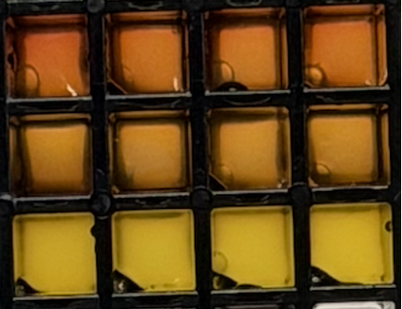 Bulk color change, 1 h incubation. Top row: DevCells induced with 5µM AHSL. Middle row: DevCells not induced. Bottom row: LUVs alone induced with 5µM AHSL.