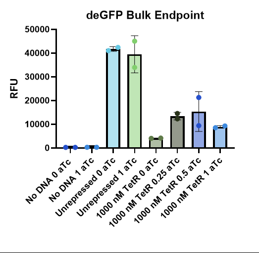 Figure 2. Endpoint deGFP fluorescence at 6 h, from the kinetic run in Figure 1. Individual replicates shown; n = 2 wells per condition.