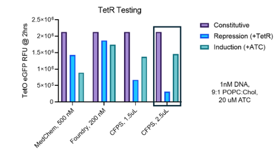 TetR source comparison. TetO-deGFP RFU at 2 h with 1 nM DNA, 9:1 POPC:cholesterol membranes, and 20 µM aTc. MedChem is commercially purified TetR at 500 nM; Foundry is TetR purified in-house through a Northwestern University core facility, at 200 nM; CFPS is CF-TetR, at 1.5 and 2.5 µL. Bars indicate TetO-regulated GFP expression with repression with TetR added, and sensor induction with aTc. The boxed condition was used in all subsequent reactions.