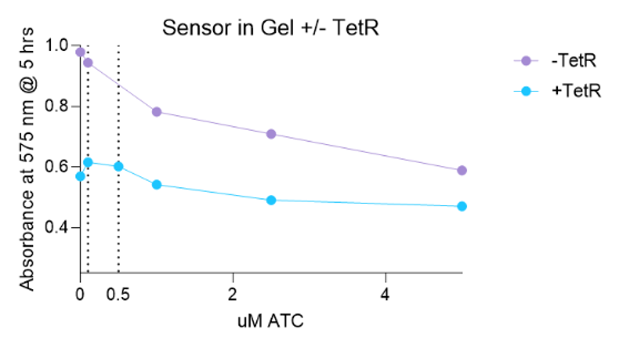 TetO-PLA1 response in gel, ±TetR. Absorbance at 575 nm after 5 h. Dotted lines mark the low-aTc region examined later.