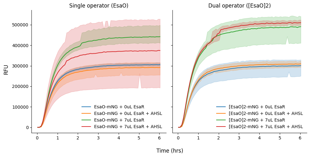 <Figure size 1000x500 with 2 Axes>