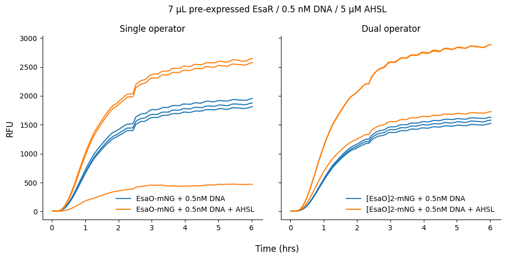 <Figure size 1000x500 with 2 Axes>