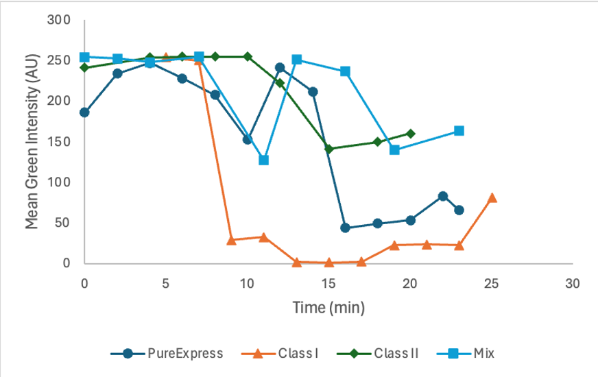 Figure 10. Green fluorescence activity of encapsulated cells. All four cellular conditions are plotted together.