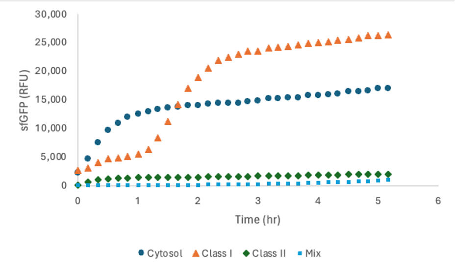 Figure 15. Protein activity of isolated cytosol cell conditions measured via fluorescence over 5 hour time period. Data represents average of duplicate trials.