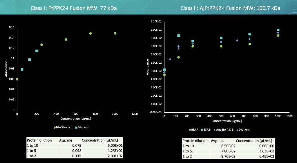 Figure 3. Bradford Assay using Standard BSA concentrations to determine concentrations of the proteins. Each Class had 1:10, 1:5, and 1:2 dilutions created to determine their concentrations with respect to the absorbances. The samples were incubated at room temperature for 5 minutes. They were then read at 595nm for absorbance.