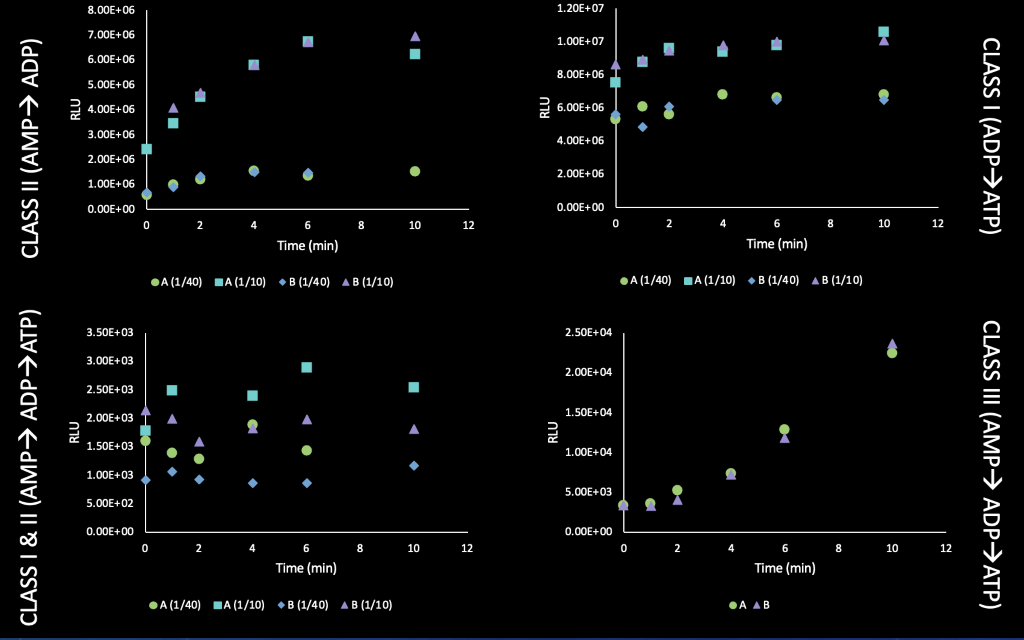Figure 5. Comparisons of the various PPK2 ATP and ADP production routes. Class I, Class I & II, Class III ATP. Same reaction conditions as described in Figure 4 caption. All graphs contained 1:40 & 1:10 dilutions PPK2, whereas Class III only has a 1:10 dilution (done by Sunayana Nguyen and Emily Cooke)