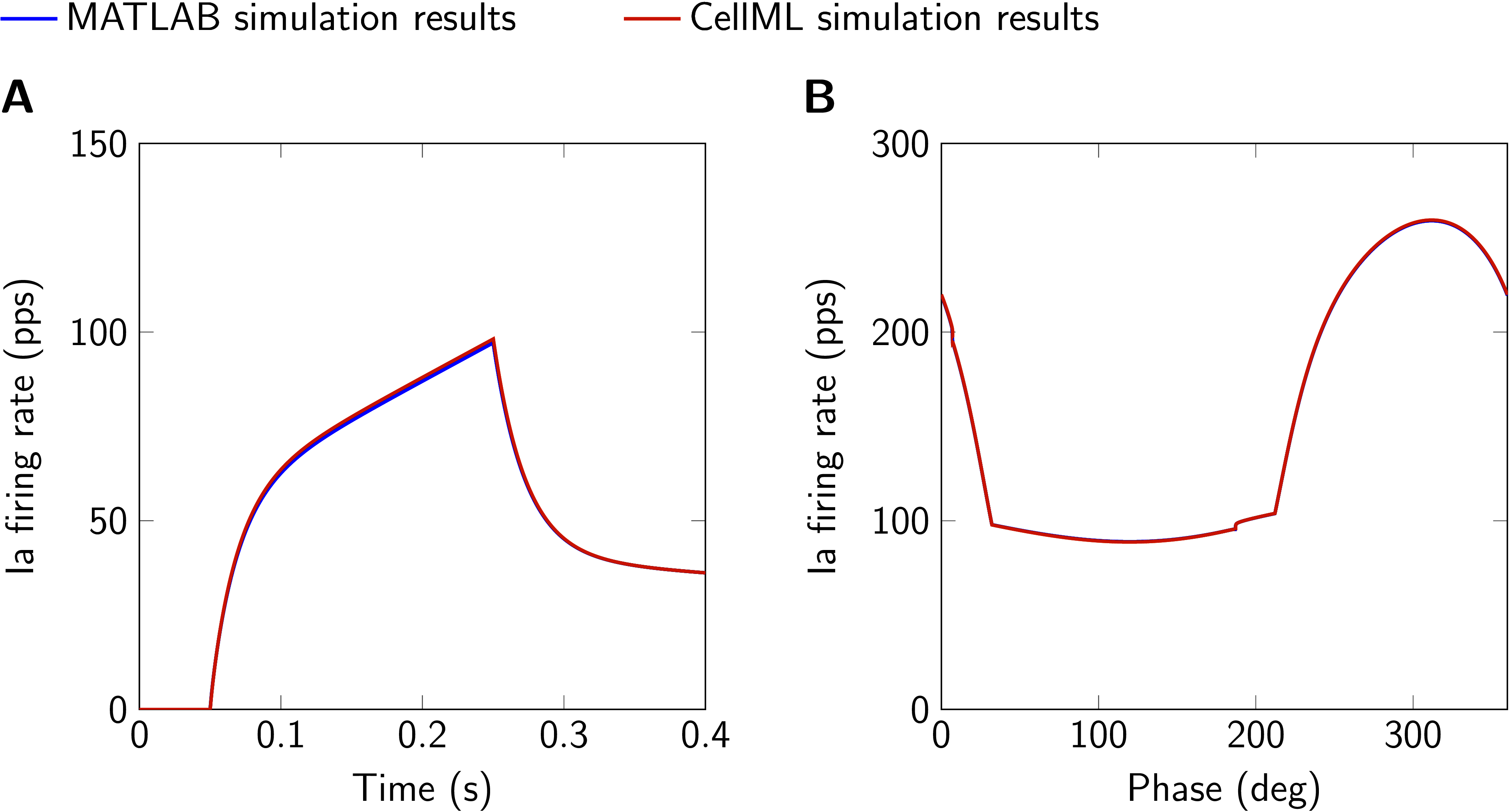 Comparison of simulation results obtained with MATLAB and CellML implementations. A: 6 mm ramp-and-hold stretch, ramp velocity 30 mm s⁻¹, no fusimotor drive. B: Sinusoidal stretch (1.4 mm peak-to-peak, mean displacement 4 mm, frequency 1 Hz, second of two cycles), static gamma drive 50 pps, dynamic gamma drive 125 pps. Ia firing rate and fusimotor drive are given in pulses per second (pps). This figure is created by running both, Fig03.sedml and Fig03.m.